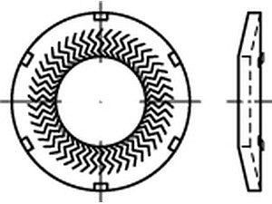 ART 88129 TECKENTRUP-Sperrkantscheiben C 60 flZnnc NSK-K 10 flZn VE=S (1000 Stück)