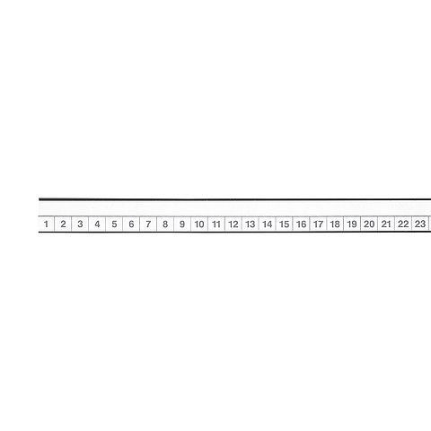 Magnetoplan Kopfleiste mit U-Profil, Inhalt: 2 x 31 Tage, 12712