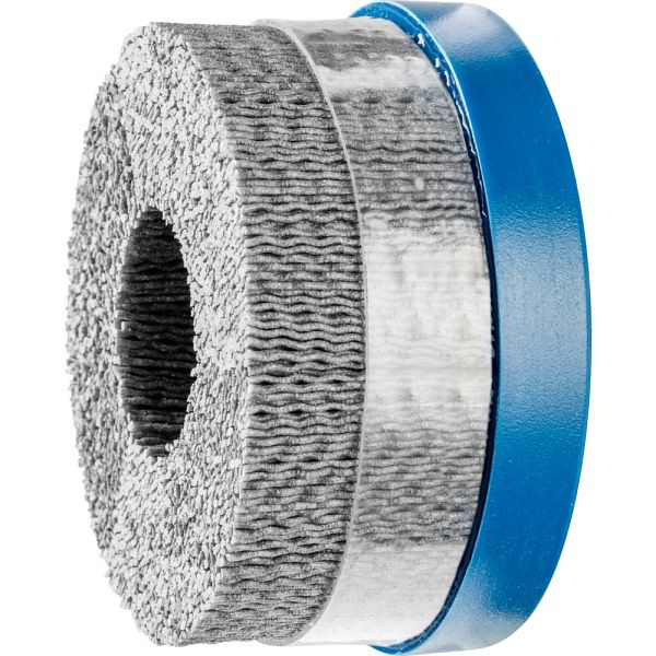 Pferd Tellerbürste, ungezopft DBUR 100/22,2 SiC 120 1,10, 79184130
