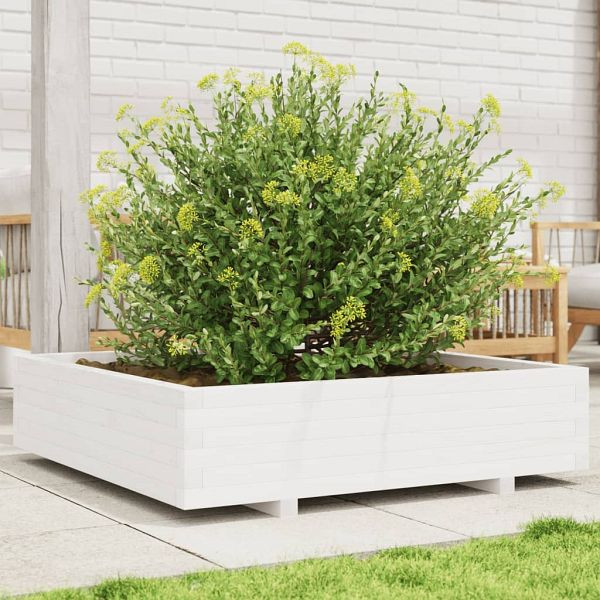 vidaXL Pflanzkübel Weiß 100x100x26,5 cm Massivholz Kiefer, 847319