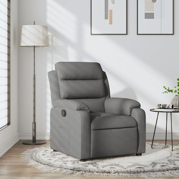 vidaXL Relaxsessel Dunkelgrau Stoff, 373463, 8721012202160