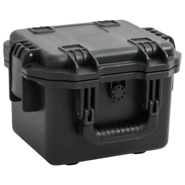 vidaXL Koffer für Flugreise Tragbar Schwarz 30x24,5x20 cm PP, 4007246
