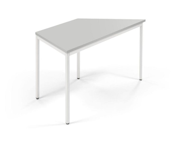 Deskin Konferenztisch PROFI MODUL, Platte Lichtgrau, Gestell Weiß RAL 9016, B 1600/800 x T 690 x H 728 mm, 359356