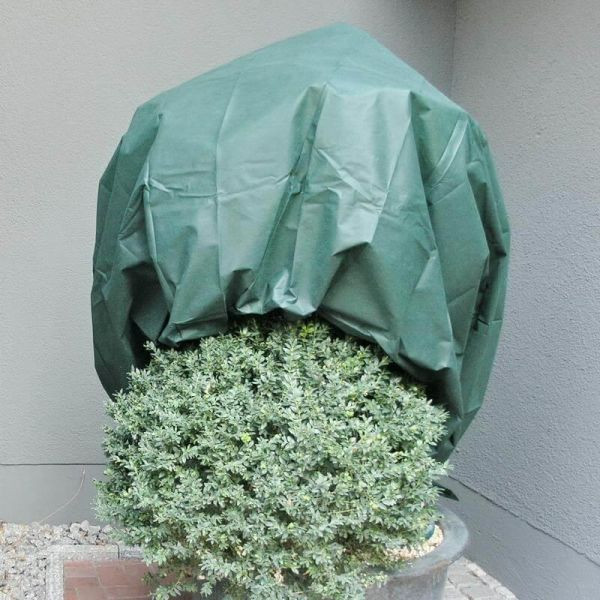 NOOR Wintervlies 34g/m² 1,6 x 5m grün Winterschutz, 01115010WIGR