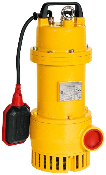 Tauchpumpe Pedrollo RX - GM, Mit Schwimmer-Magnetschalter, 230V