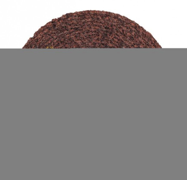 3M Scotch-Brite Kompaktscheibe FS-WL, 203,2 mm, 50,8 mm, 76,2 mm, Härte 8, A MED, VE: 2 Scheiben, 7000046087