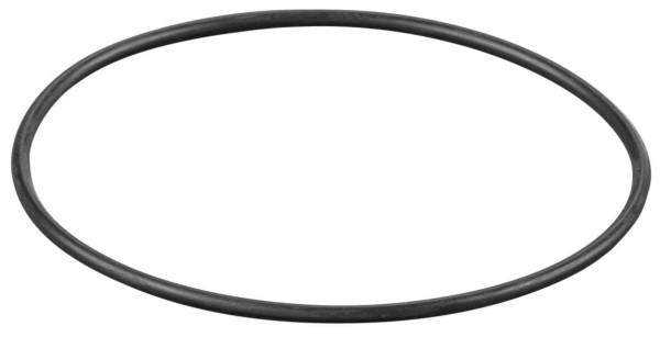 REMS O-Ring, Maße (LxBxH): 50 x 50 x 1 mm, 060319, 4039976210645