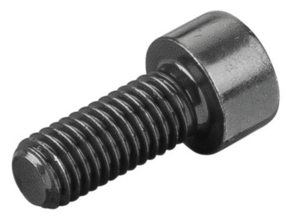 REMS Zylinderschraube, Maße (LxBxH): 30 x 13 x 13 mm, Gewicht: 0,013 kg, 081029