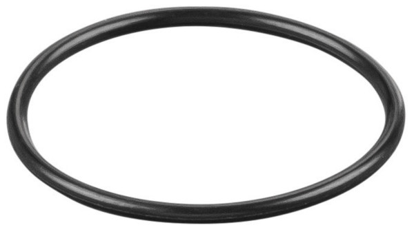 REMS O-Ring, Maße (LxBxH): 30 x 30 x 1 mm, Gewicht: 0,0002 kg, 060109