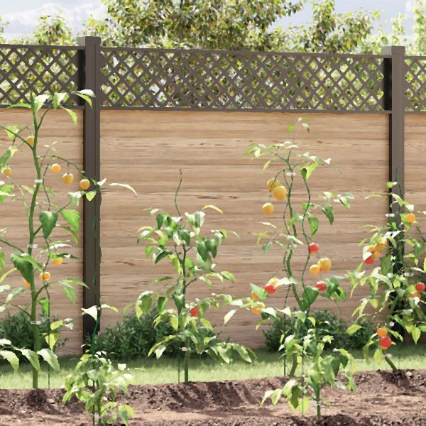 vidaXL Spiralpflanzenstützen 50 Stück 110 cm aus Stahl, 4107055