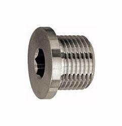 Riegler Verschlussschraube mit Innensechskant und Bund, 111648