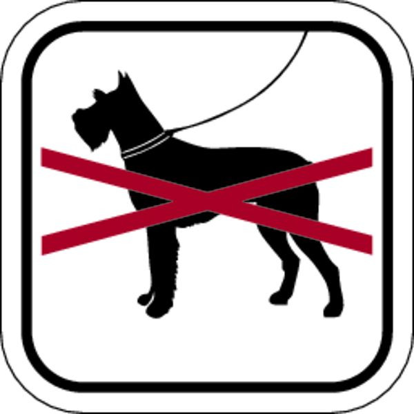 Schilder Klar Grundstücksbeschilderung Hunde verboten, 200x200 mm Folie selbstklebend, 66/61