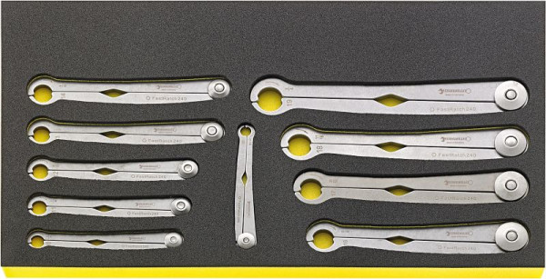 STAHLWILLE Ratschenschlüssel FastRatch in TCS, 10-teilig Nr.TCS WT 240/10 -Teilung 10-teilig, 96830130