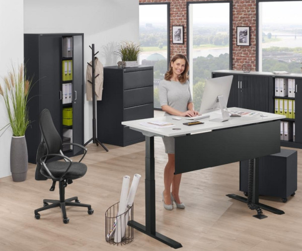 Deskin Höhenverstellbarer Schreibtisch FLEX MODUL, Lichtgrau, 1200 x 800 x 605-1255 mm, Gestell: Schwarz, 347880