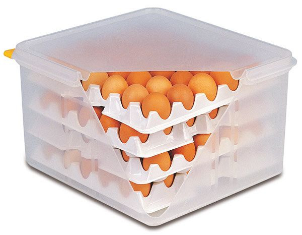 APS Lagen zu Eier-Box, je 28 x 28 cm, Polystyrol, passend zu Artikel 82419, VE: 10 Stück, 82420