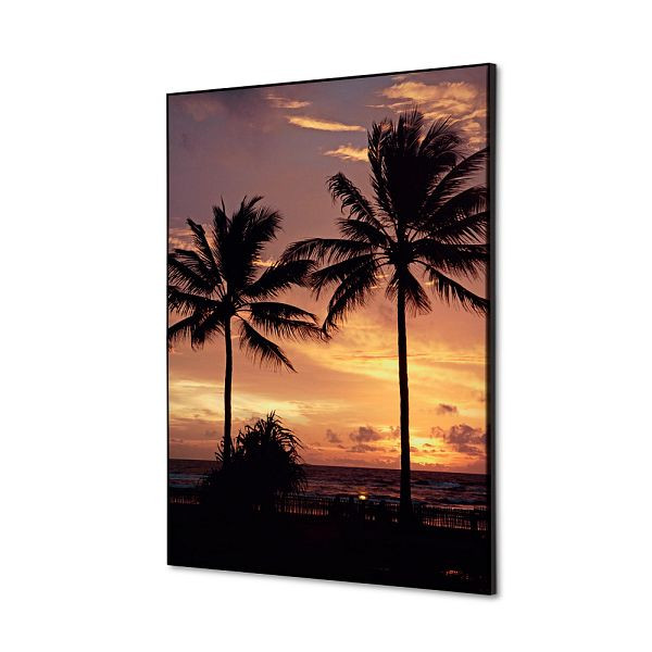 Showdown Displays Spannstoff Wanddekoration SET A2 Palmen Sonnenuntergang, TFR22WA2-SET-I826