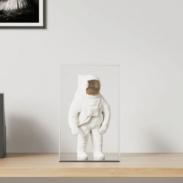 vidaXL Vitrine Transparent 22x18x35 cm Abmessung Acryl, 154904