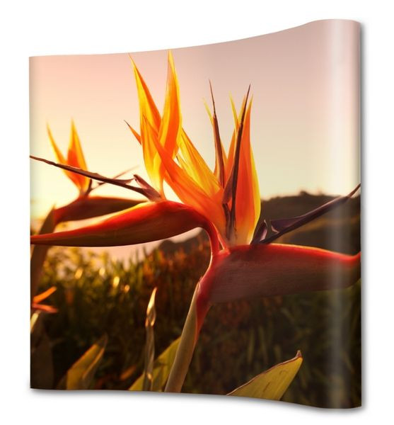 Showdown Displays Pop-Up Magnetisch 4x3 Curved, schwarz, PUM43C