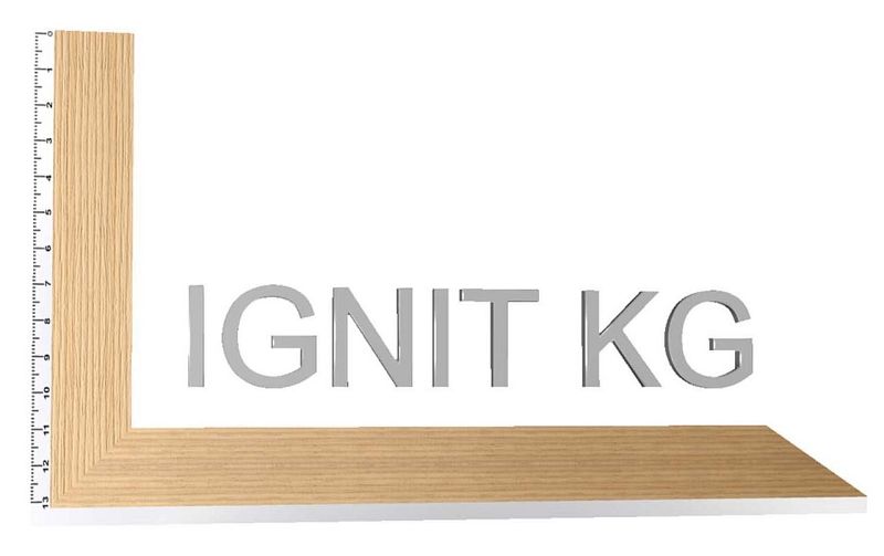 Lignit Logo