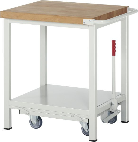 RAU Werkbank mit absenkbarem Fahrgestell Serie 8000, 750x880x700 mm, 05-8000-6-077B4F.12