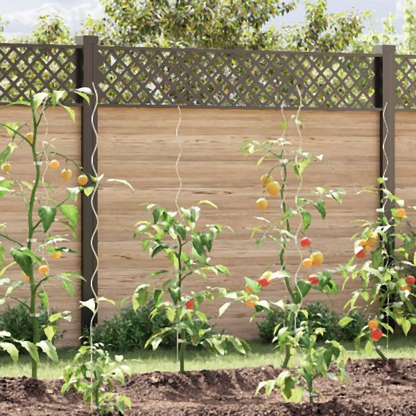 vidaXL Spiralpflanzenstützen 50 Stück 150 cm aus verzinktem Stahl, 4107049