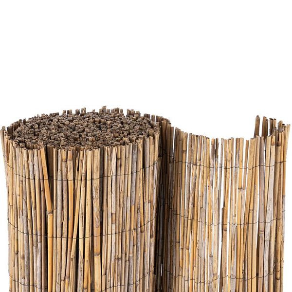 NOOR Schilfrohrmatte Cannes mit Nylongarn, Maße: 2 x 6 m, 1502-20