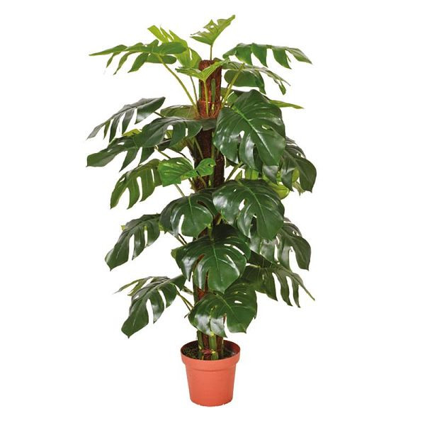 NOOR Kunstpflanze Monstera 135 cm, dekorativ, 162MONST135