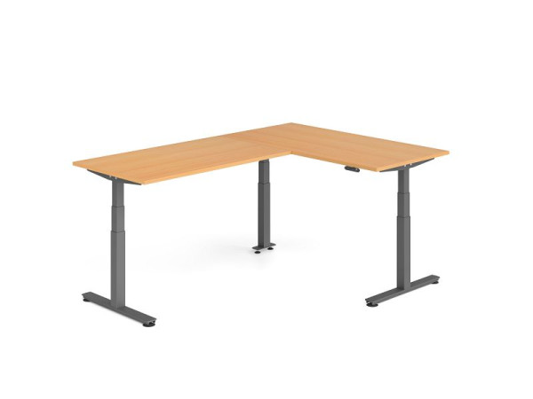 Hammerbacher Sitz-Steh-Winkeltisch 240x160cm Buche/Graphit, VXDSMW1616/6/G