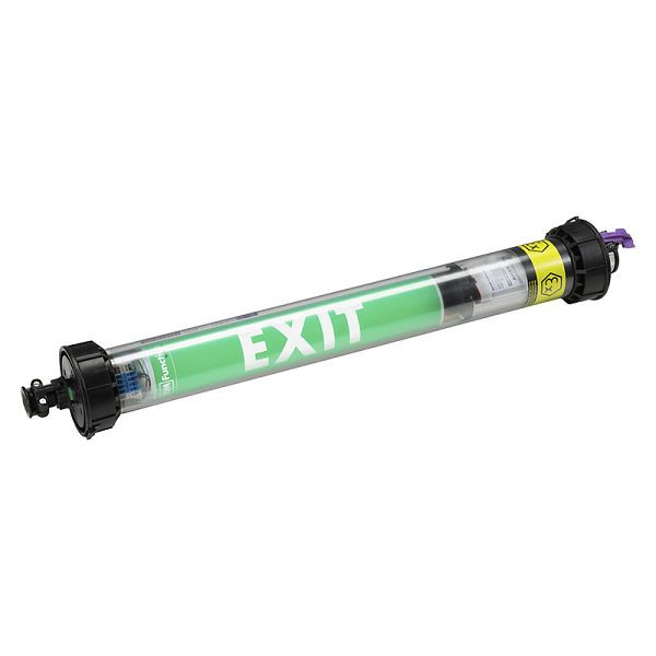 ELSPRO Ex-Arbeitsleuchte TYP ZEX LED, mit Notlichtfunktion, 24V, Ausführung: C, Eingang: Leitung, Stecker, Ausgang: Einbausteckdosen, AY-ZEX1LEDC242P