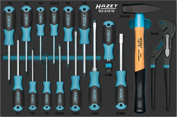 Hazet Werkzeug Satz, Kreuzschlitz Profil PH, Schlitz Profil, Innen TORX® Profil, 16-teilig, PH1 – PH2, T10 – T30, 163-614/16