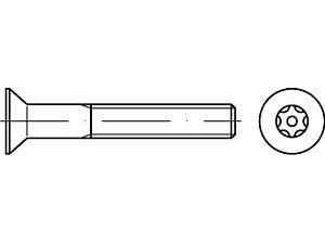 ART 88117 Diebstahlhemmende Schrauben (D7991) A 2 M 4 x 8 mit PIN-ISR T20 VE=S (100 Stück)