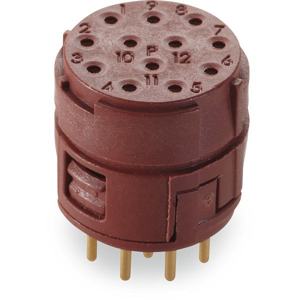 LAPP Rundsteckverbinder EPIC® SIGNAL M23 12P BEM, VE: 5 Stück, 44420108