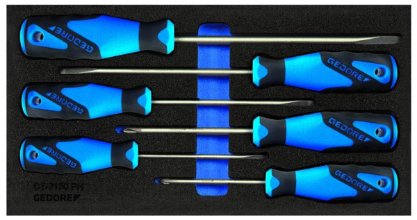 GEDORE CT-Einlage mit Sortiment, Schraubendreher-Satz PH, 2309130