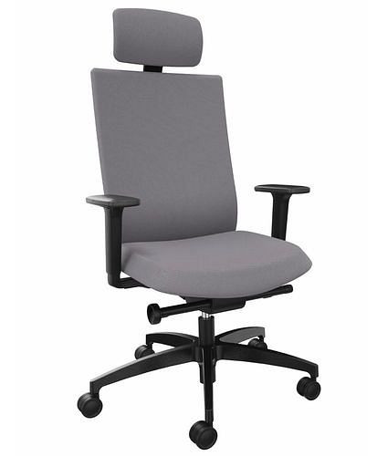 DENIOS Bürostuhl AdJust evo, Syncro-Evolution-Technik, Nackenstütze, grau, 292411