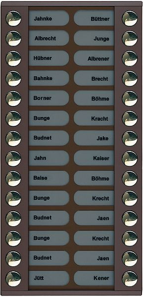 TCS Klingeltastenerweiterung für Audio Außenstation Serie PES/AVE 28 Klingeltasten (rechts-/linksbündig), AP bronze, PET28-EB/04