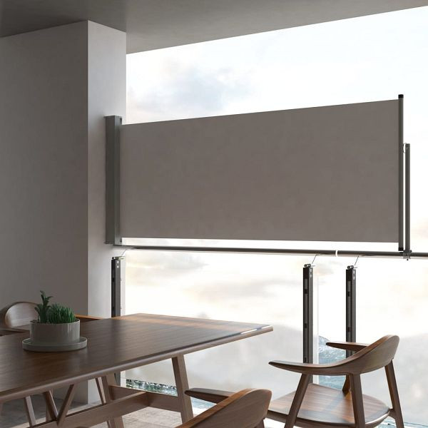 vidaXL Ausziehbare Seitenmarkise 100x300 cm Grau, 45186