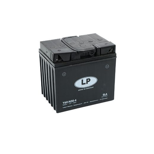 ELMAG Batterie 12 V-30Ah "wartungsfrei", für Stromerzeuger, 179x125x166mm, 9503115