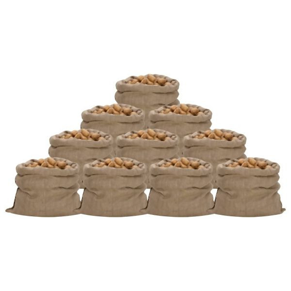 vidaXL Jutesäcke 10 Stück 100x110 cm 100% Jute 340 g/m², 155788