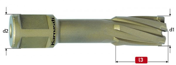Karnasch Hartmetall-bestückter Kernbohrer, Weldonschaft 19 mm, Nutzlänge 55 mm, Hard-Line55 d=14mm, VE: 2 Stück, 201316014