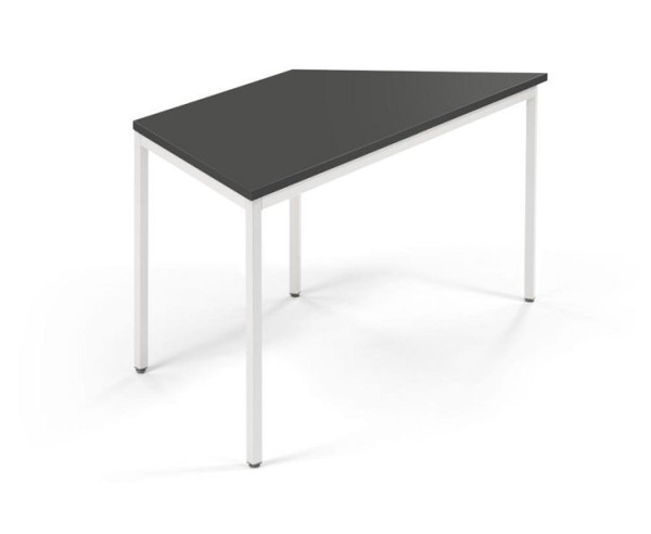 Deskin Konferenztisch PROFI MODUL, Platte Anthrazit, Gestell Weiß RAL 9016, B 1600/800 x T 690 x H 728 mm, 359360