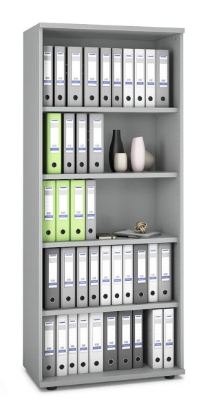 Deskin Regal MULTI M pro, Dekor: Lichtgrau, BxHxT: 800 x 1890 x 420 mm, 250403