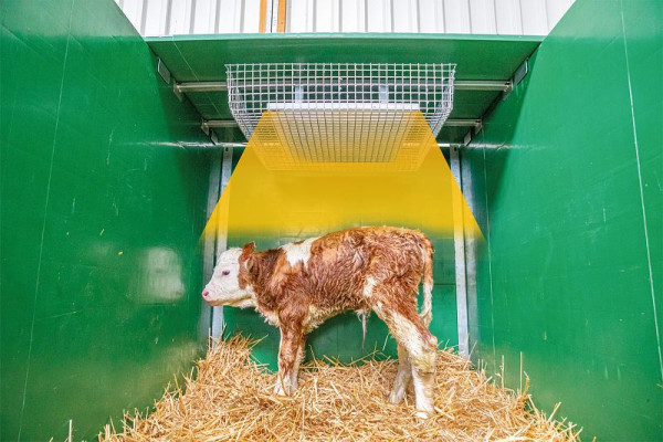 Patura Nuckeleimer-Montagesatz für Kälber-Schrägfressgitter SV,SSV modular Kalb und Superstar, 332230