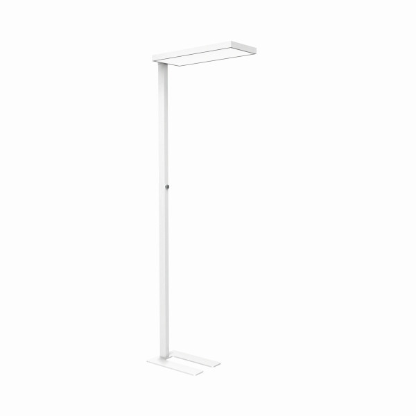 MAUL LED-Standleuchte MAULjura, dimmbar, in der Farbe weiß, 8257102