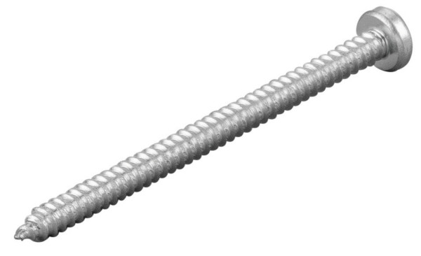 REMS Blechschraube, Maße (LxBxH): 75 x 10 x 10 mm, 083068