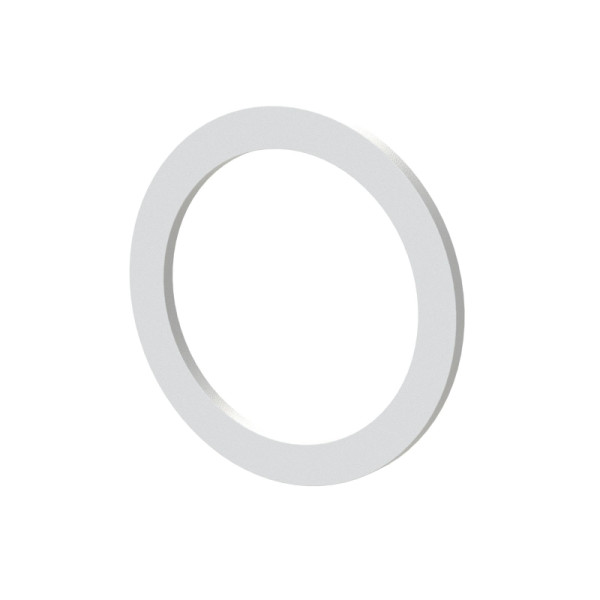Riegler Flachdichtung für Lösbarer Doppelgewindenippel aus PTFE Größe 4, 119457