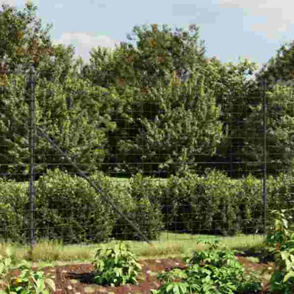 vidaXL Maschendrahtzaun mit Bodenflansch Anthrazit 1,4x25 m, 154331