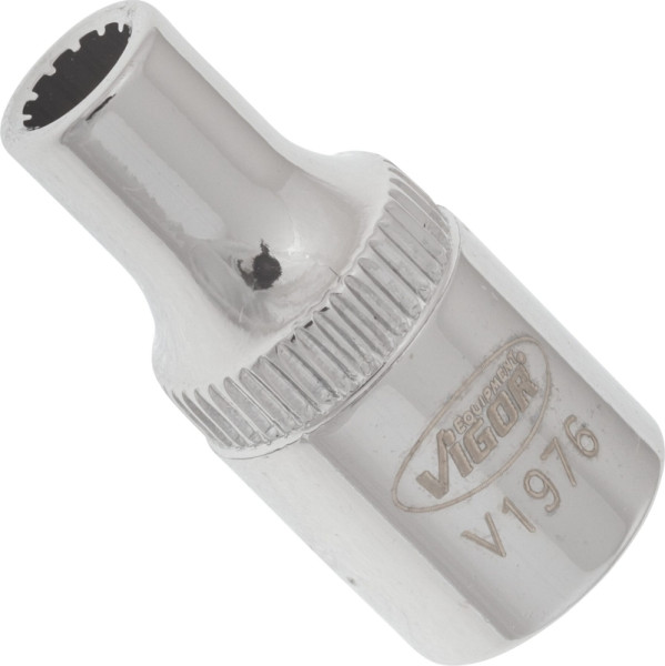 VIGOR Multiprofil-Steckschlüsseleinsatz, Vierkant hohl 6,3 mm (1/4 Zoll), Multiprofil, 4 mm, V1976