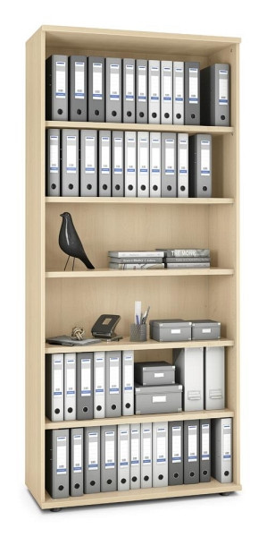 Deskin Regal MULTI MODUL-PRO, Ahorndekor, B 1000 x H 2250 x T 420 mm, 352123