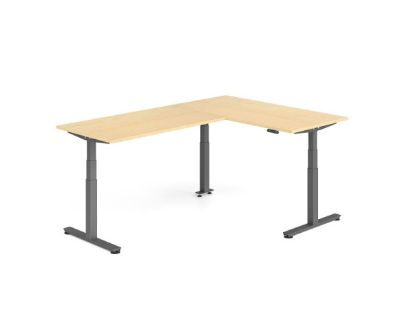 Hammerbacher Sitz-Steh-Winkeltisch 240x160cm Ahorn/Graphit, VXDSMW1616/3/G