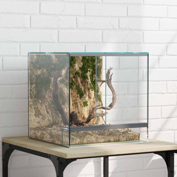 vidaXL Terrarium mit Speicher Transparent 30 x 30 x 30 cm Glas, 42020387